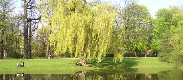 Park Centrum Psychoterapii